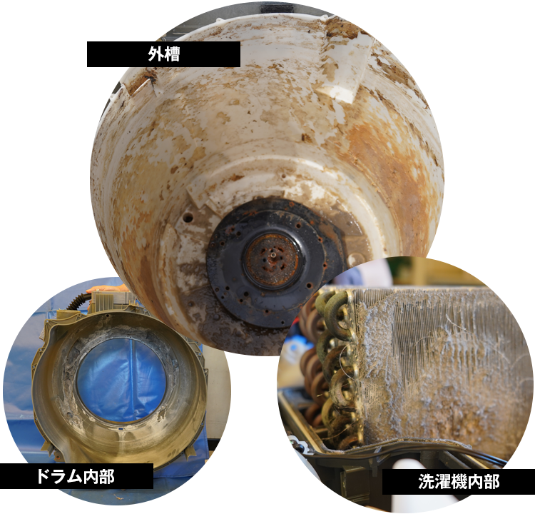 実は洗濯機の中はこうなっています！