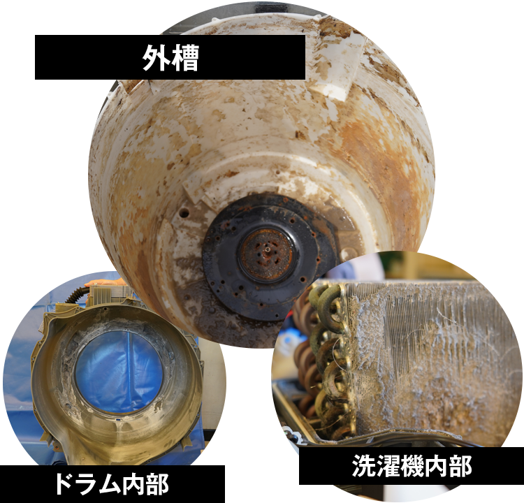 実は洗濯機の中はこうなっています！